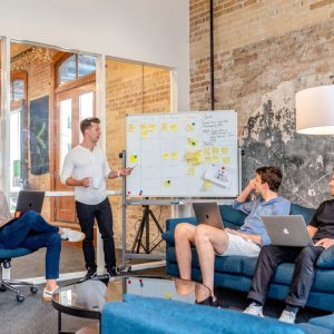 Remote Professional Training Session
